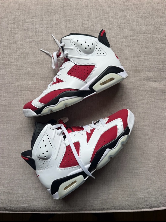 Jordan Other - Jordan 6 Retro “Carmines” Size 9